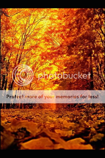 Autumn Days